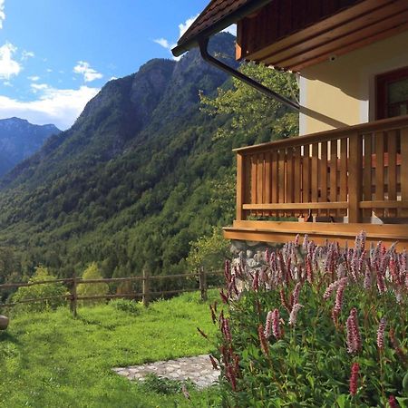 Zadnjica Holiday House Soča Dış mekan fotoğraf