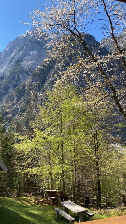 Zadnjica Holiday House Soča Dış mekan fotoğraf